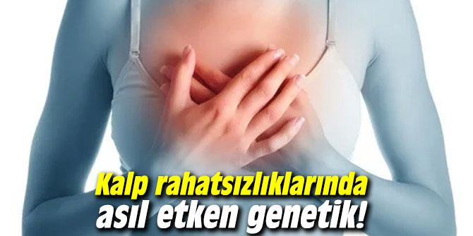 Uzmanı açıkladı: Kalp rahatsızlıklarında asıl etken genetik!