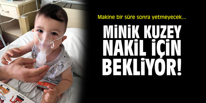 Makine bir süre sonra yetmeyecek... Minik Kuzey nakil için bekliyor