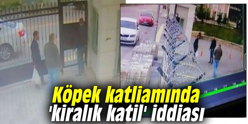 Köpek katliamında 'kiralık katil' iddiası