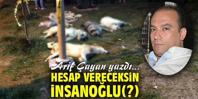 Hesap Vereceksin İnsanoğlu(?)