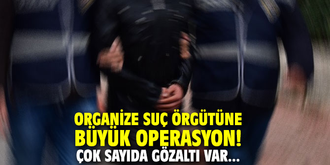 Organize suç örgütüne büyük operasyon! Çok sayıda gözaltı var