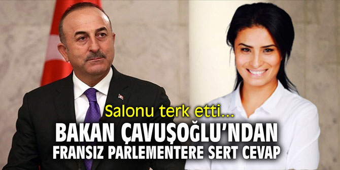 Bakan Çavuşoğlu'ndan, Fransız parlamentere sert cevap
