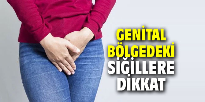 Genital bölgedeki siğillere dikkat