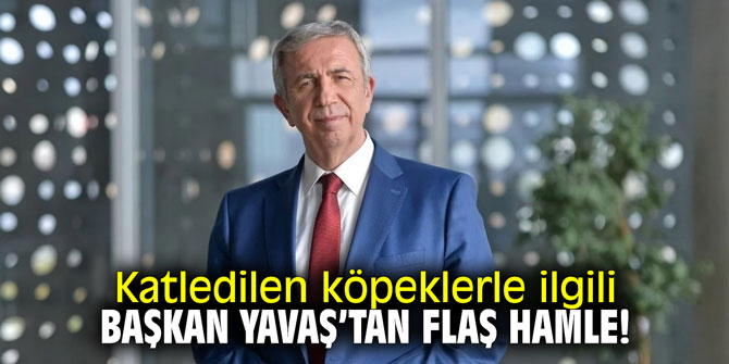 Katledilen köpeklerle ilgili Başkan Yavaş'tan flaş hamle