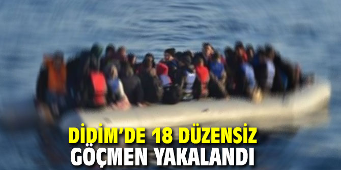 18 düzensiz göçmen yakalandı