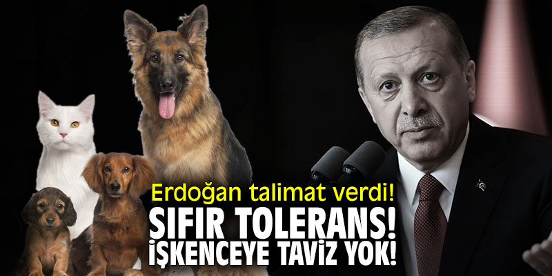 Erdoğan talimat verdi! Sıfır tolerans; işkenceye taviz yok!
