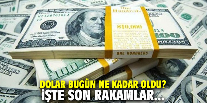 Dolar bugün ne kadar oldu? İşte son rakamlar