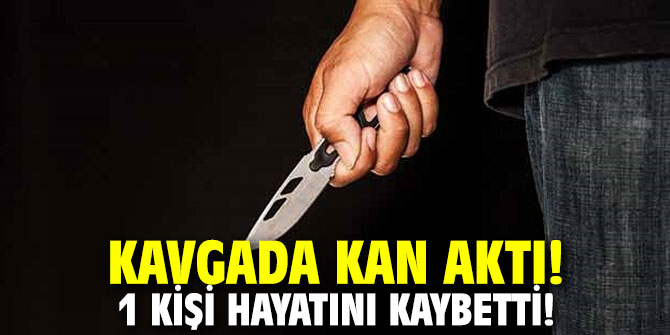 Kavgada kan aktı! 1 kişi hayatını kaybetti!