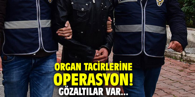 Organ tacirlerine operasyon! Gözaltılar var...