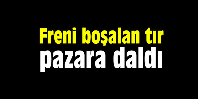 Freni boşalan tır pazara daldı