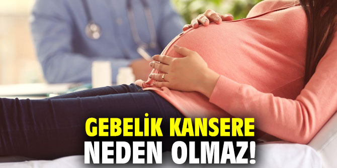 Uzmanı açıkladı: Gebelik kansere neden olmaz!