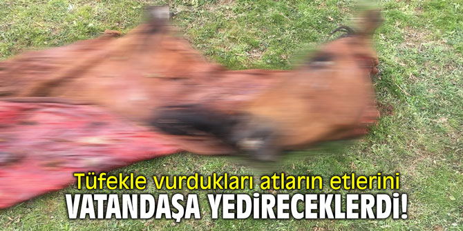 Tüfekle vurdukları atların etlerini vatandaşa yedireceklerdi!