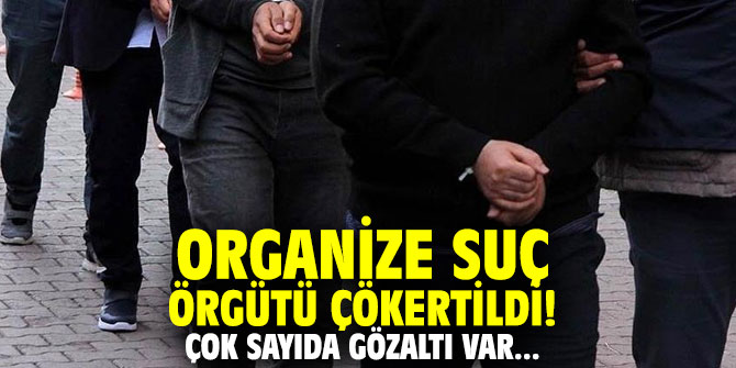 Organize suç örgütü çökertildi! Çok sayıda gözaltı var...
