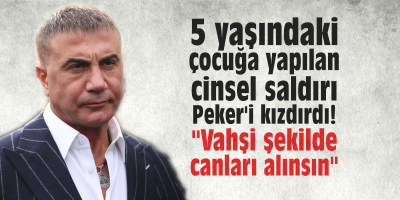 5 yaşındaki çocuğa yapılan cinsel saldırı Peker'i kızdırdı! "Vahşi şekilde canları alınsın"