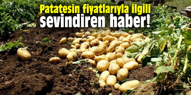Patatesin fiyatlarıyla ilgili sevindiren haber!