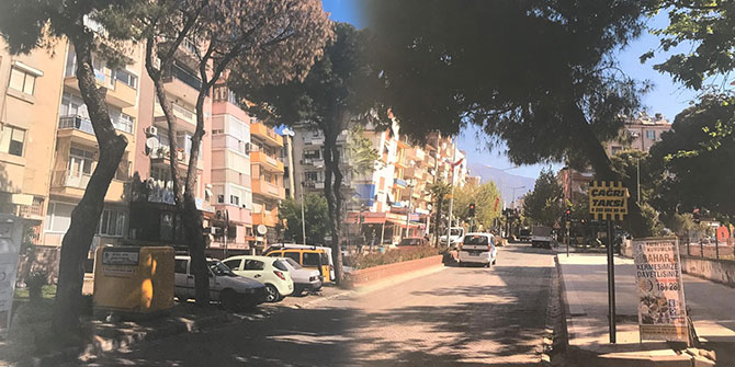 Ödemiş Belediyesi tehlike arz eden ağaçlar için önlem alıyor