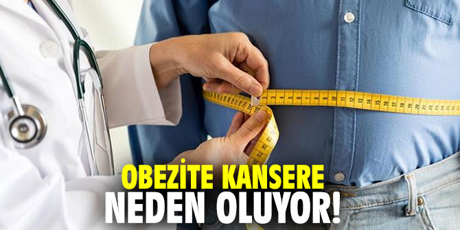 Obezite kansere neden oluyor!