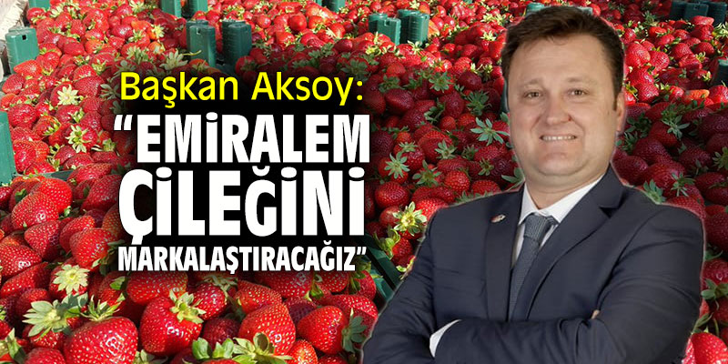 Başkan Aksoy: "Emiralem çileğini markalaştıracağız"