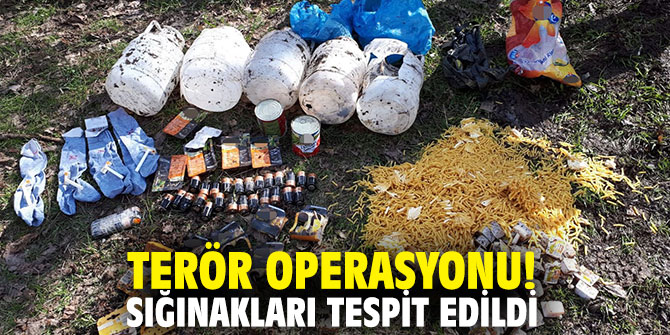 Terör operasyonu! Sığınaklar tespit edildi