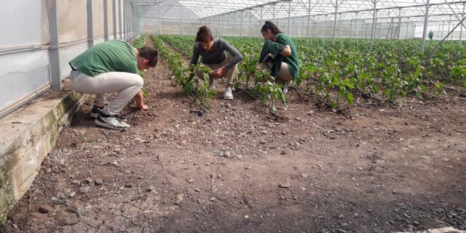 Foçalı öğrenciler Bio Enerji tesislerini gezdi