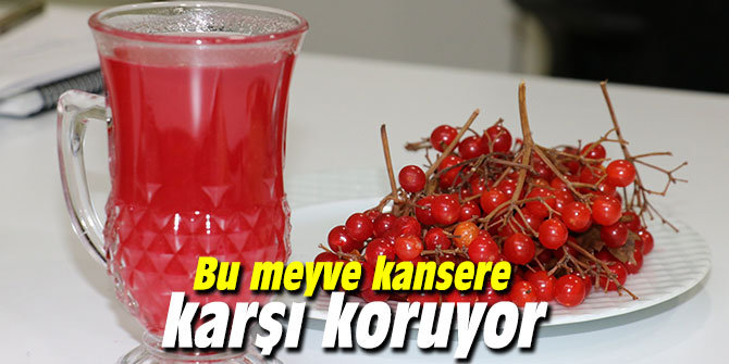 Bu meyve kansere karşı koruyor