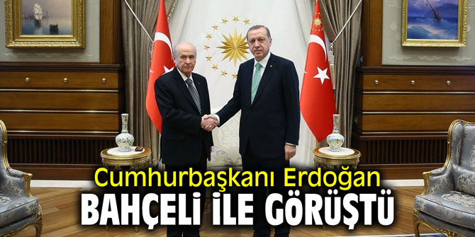 Cumhurbaşkanı Erdoğan, Bahçeli ile görüştü