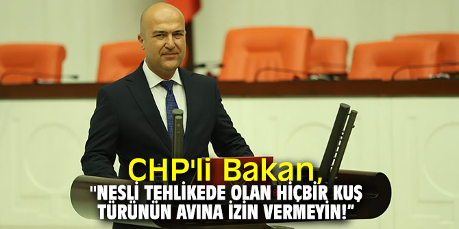 CHP'li Bakan, "Nesli tehlikede olan hiçbir kuş türünün avına izin vermeyin!”