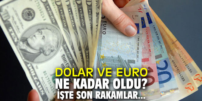 Dolar ve Euro ne kadar oldu? İşte son rakamlar...