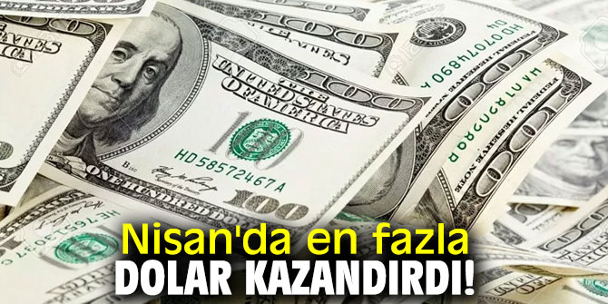 Nisan'da aylık en yüksek reel getiri dolarda oldu