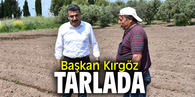 Başkan Kırgöz tarlada!