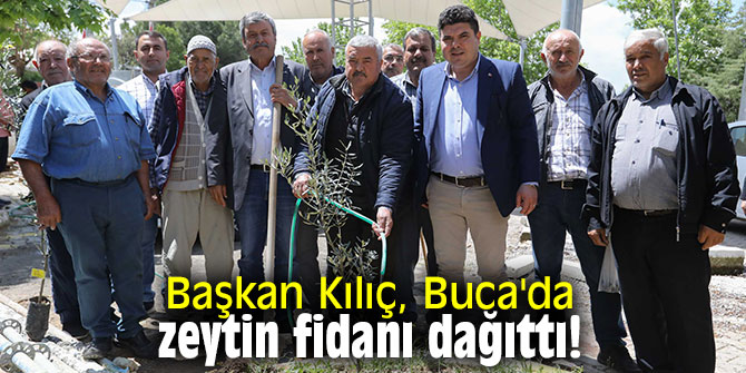 Başkan Kılıç, Buca'da zeytin fidanı dağıttı!
