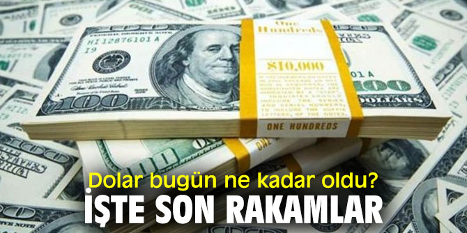 Dolar bugün ne kadar oldu? İşte son rakamlar