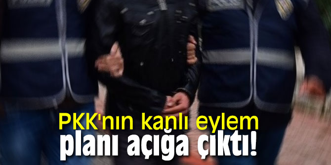 PKK'nın kanlı eylem planı açığa çıktı!