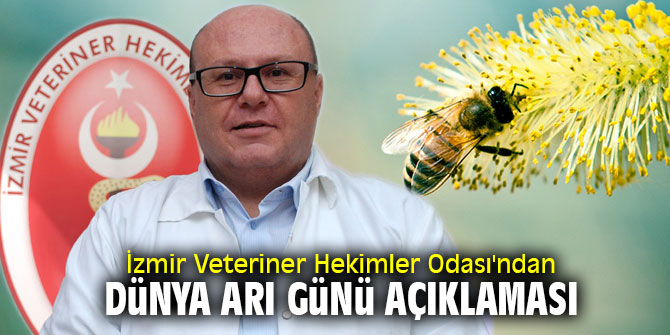 İzmir Veteriner Hekimler Odası'ndan Dünya Arı Günü açıklaması