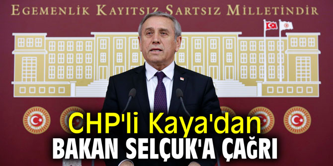 CHP'li Kaya'dan Bakan Selçuk'a çağrı