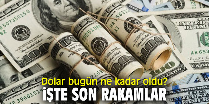 Dolar bugün ne kadar oldu? İşte son rakamlar