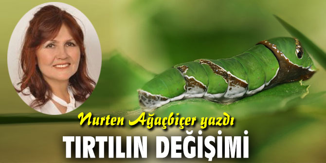 TIRTILIN DEĞİŞİMİ