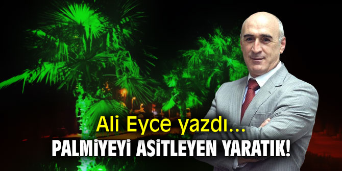 Palmiyeyi asitleyen yaratık!