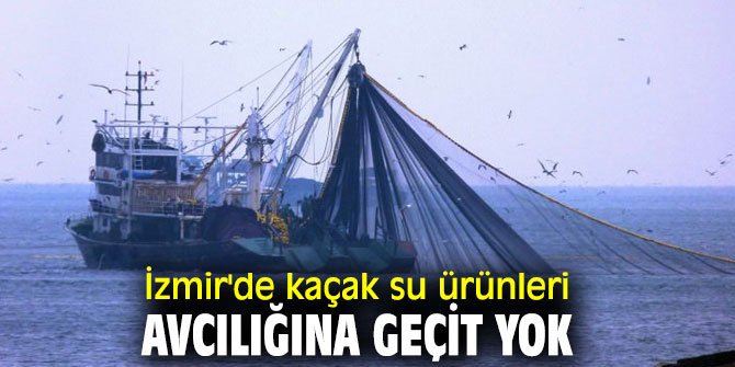 İzmir'de kaçak su ürünleri avcılığına geçit yok