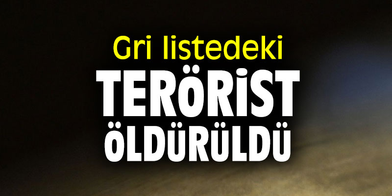 Gri listedeki terörist öldürüldü