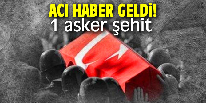 Acı haber geldi! 1 asker şehit