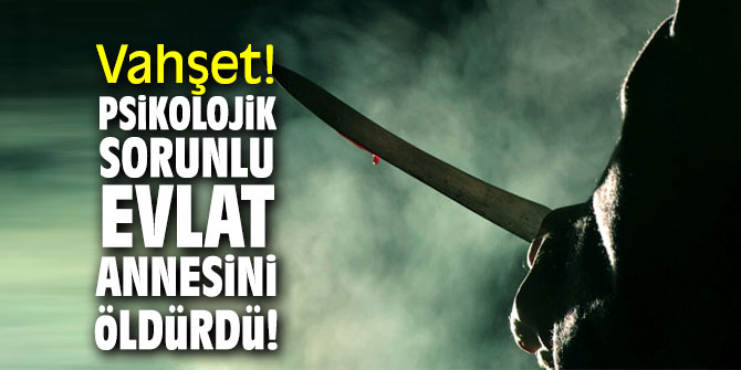 Vahşet! Psikolojik sorunlu evlat annesini öldürdü!