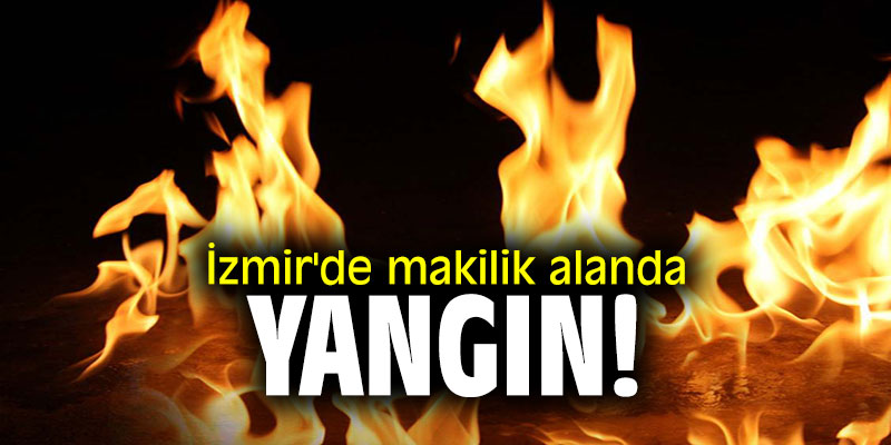 İzmir'de makilik alanda yangın!