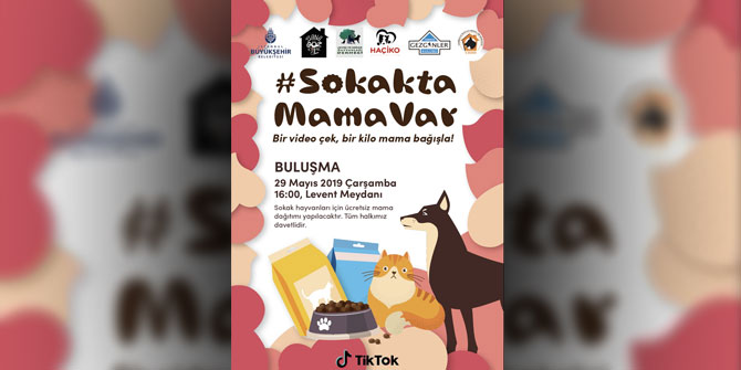 Can dostlar için anlamalı etkinlik