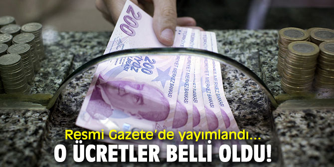 Resmi Gazete’de yayımlandı... O ücretler belli oldu!
