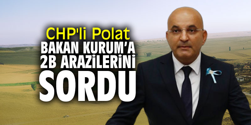 CHP'li Polat Bakan Kurum'a 2B arazilerini sordu