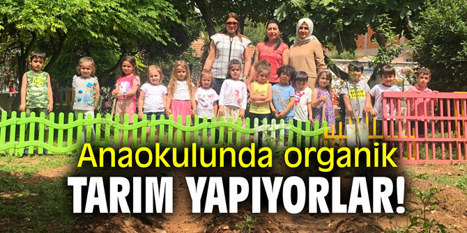 Anaokulunda organik tarım yapıyorlar!