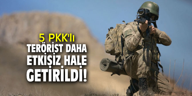 5 PKK'lı terörist daha etkisiz hale getirildi!