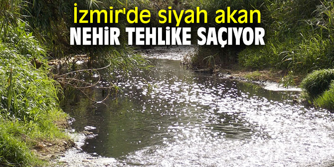 İzmir'de siyah akan nehir tehlike saçıyor 