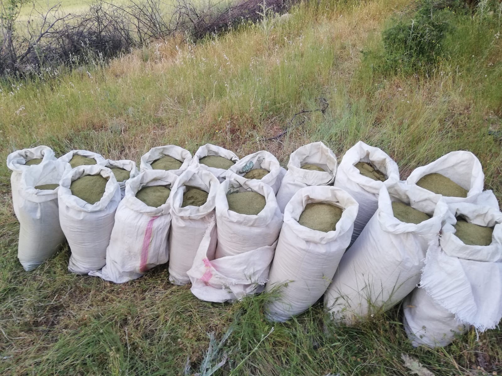 Terör örgütü PKK'nın finans kaynağına büyük darbe 